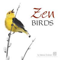 Zen Birds